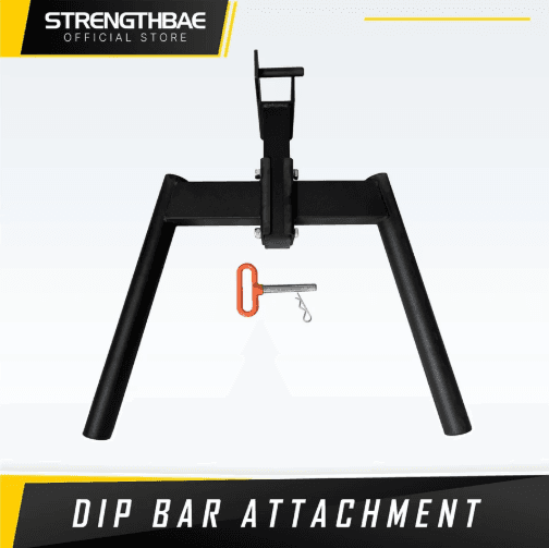 Dip Bar Parallete