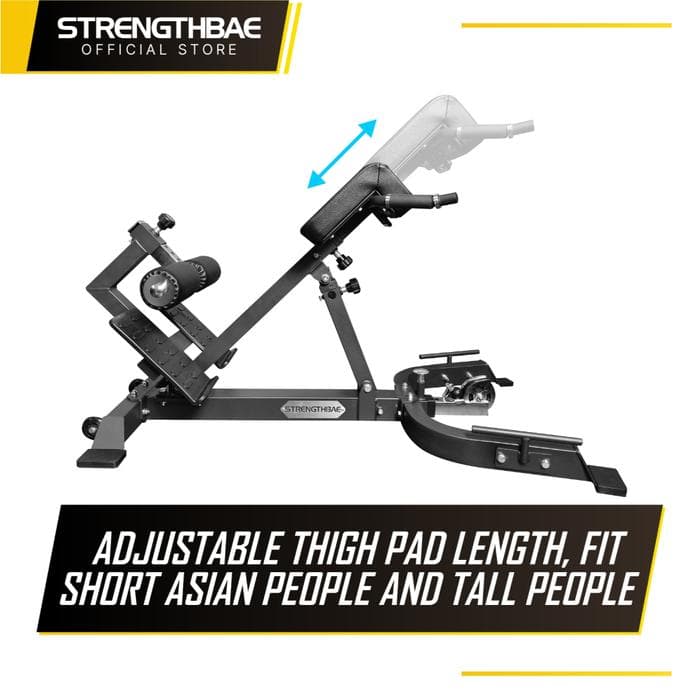 Hyperextension / Back Extension / Roman Chair