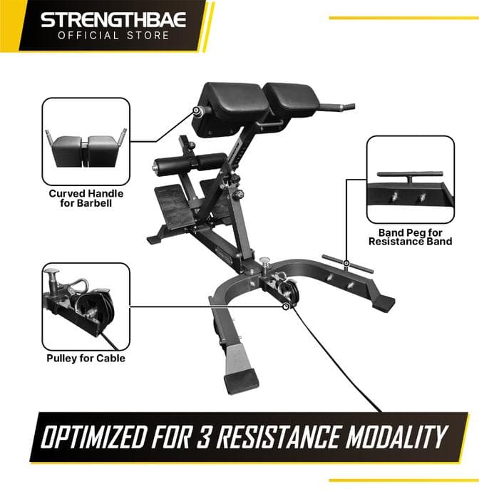 Hyperextension / Back Extension / Roman Chair