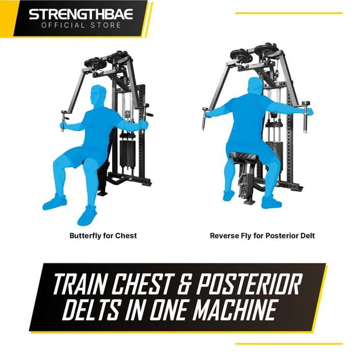 Pec Fly Rear Delt Machine