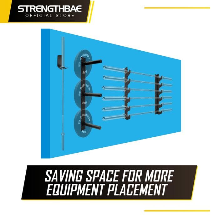 Wall Mount Storage