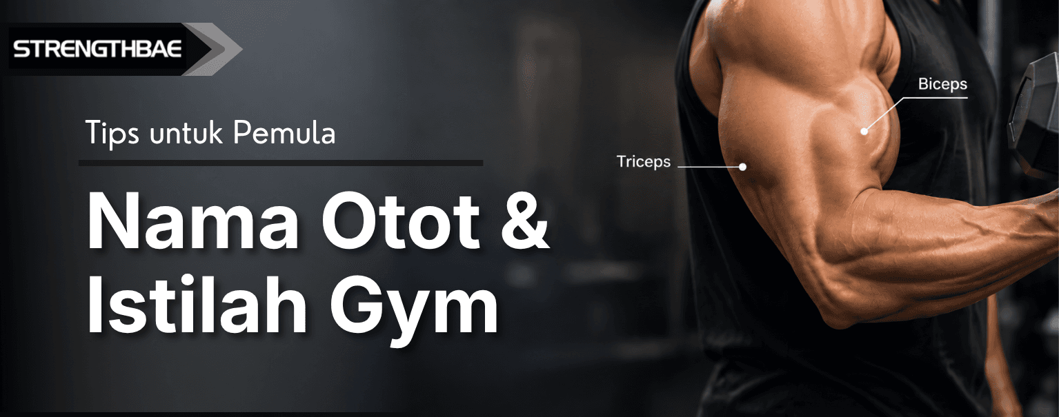 Learn Muscle Names and Gym Terms for Beginners