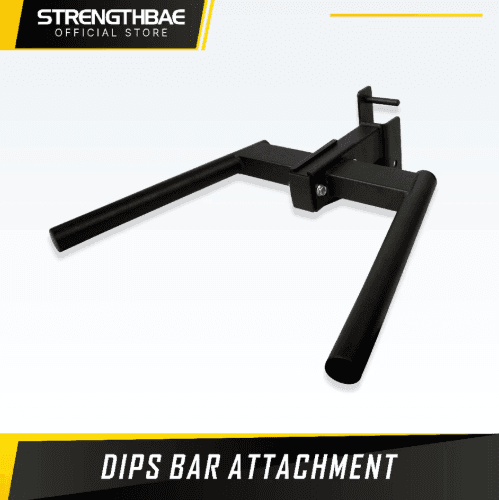 Dip Bar Parallete