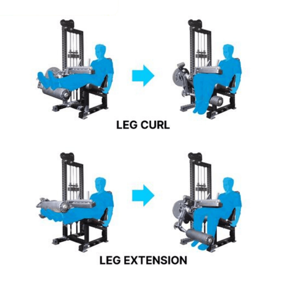 Combo Leg Extension & Leg Curl