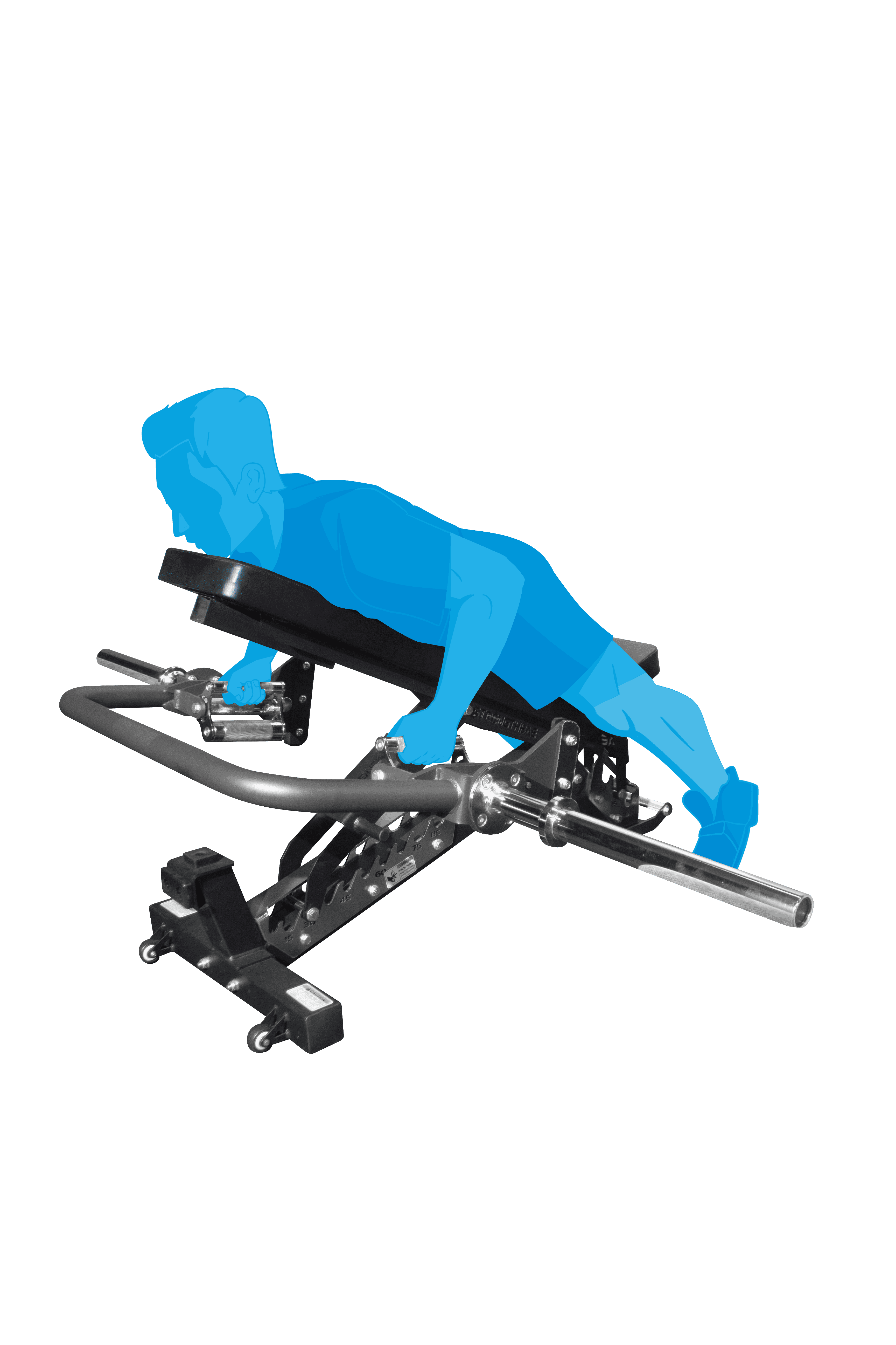 Rackable Design, Best for Seal Row